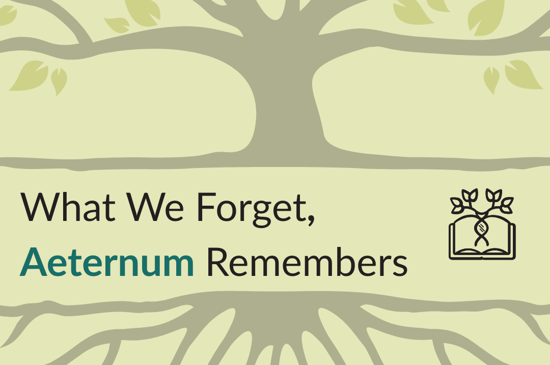 What We Forget, Aeternum Remembers. So the World Will Never Forget We Were Here